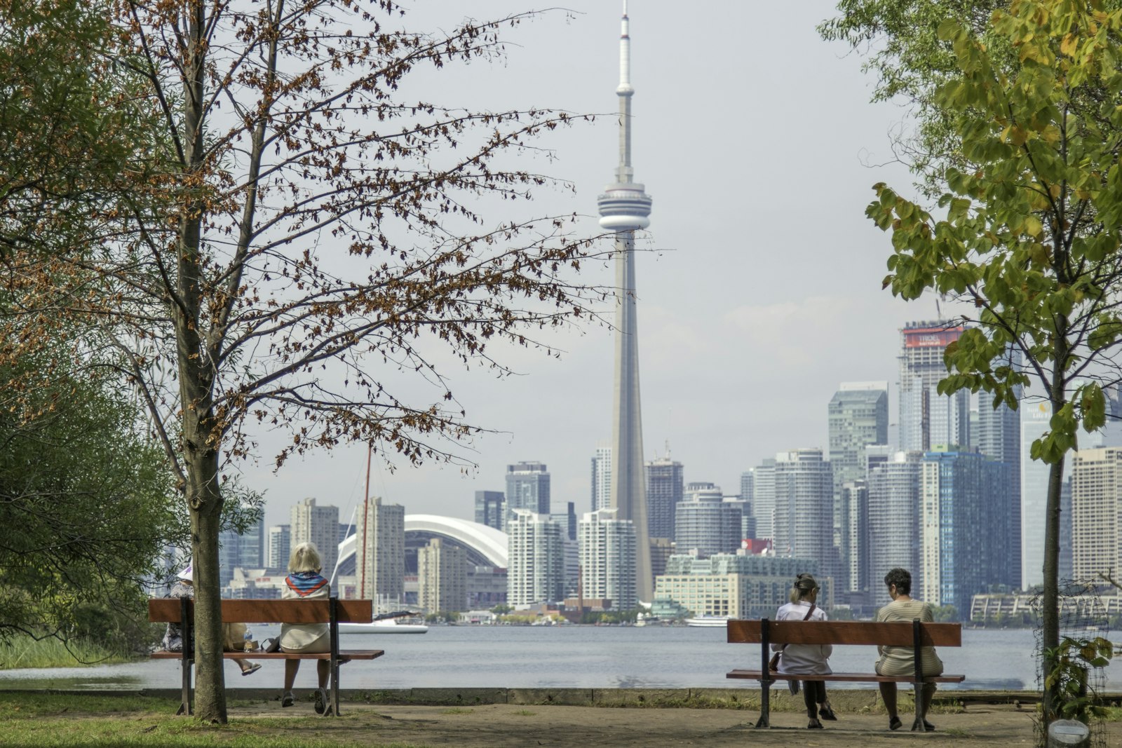 Canada Co-op Work Permit 2026 Toronto skyline international student campus