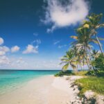 Caribbean CBI 2026 African investors — turquoise Caribbean beach