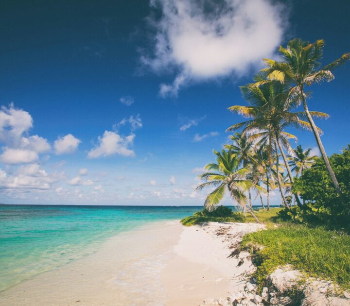 Caribbean CBI 2026 African investors — turquoise Caribbean beach
