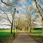 Commonwealth Scholarship 2027 African students UK university library