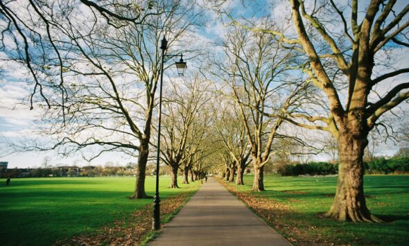 Commonwealth Scholarship 2027 African students UK university library