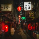 Japan Specified Skilled Worker 2026 Tokyo Africa workers SSW visa