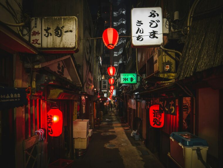 Japan Specified Skilled Worker 2026 Tokyo Africa workers SSW visa