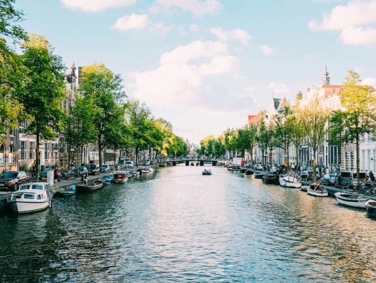 Netherlands Orientation Year Visa 2026 guide for African graduates