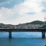 South Korea E-7 visa 2026 Seoul skyline African engineer professional