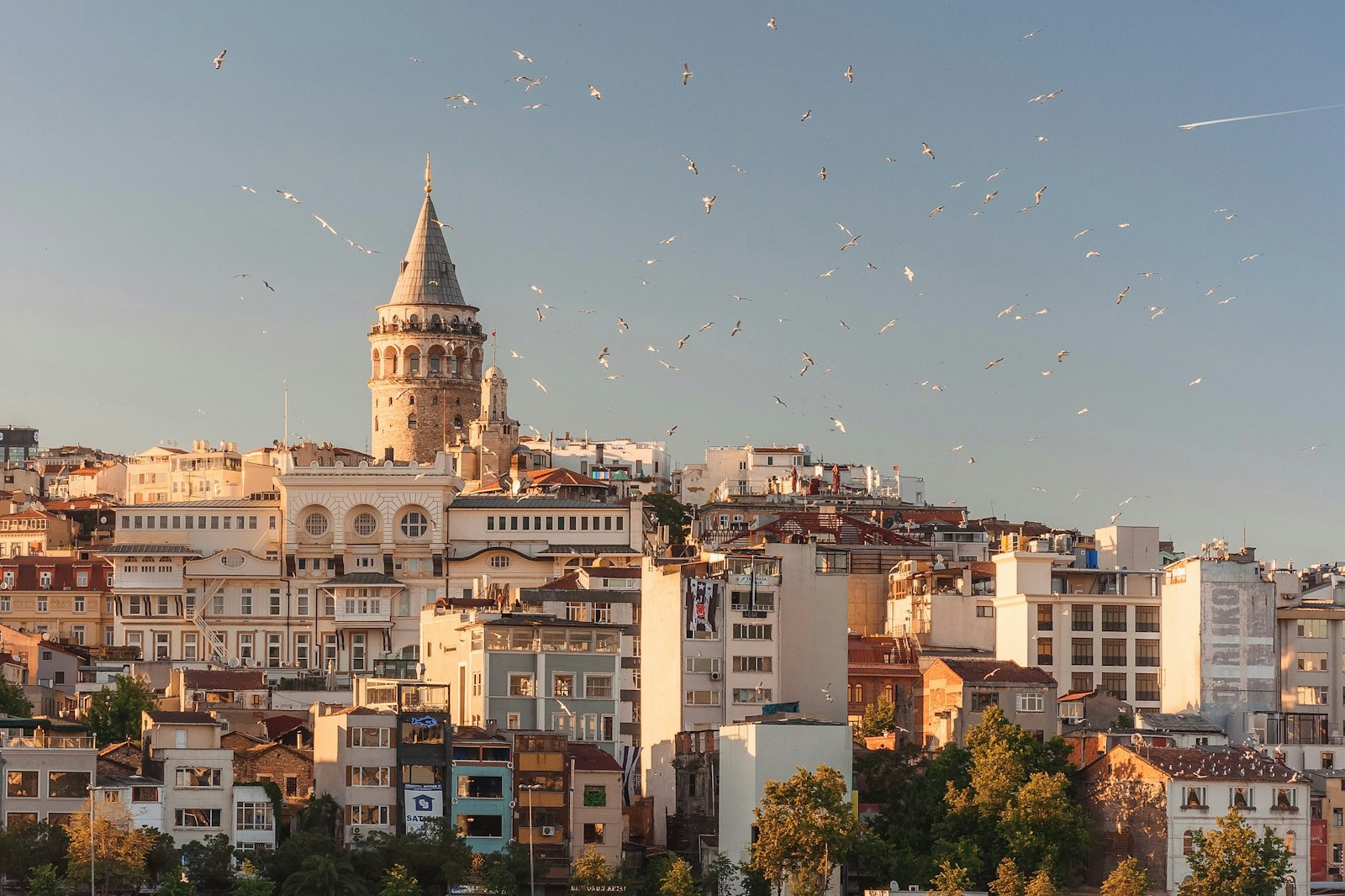 Turkiye citizenship by investment 2026 Istanbul Bosphorus African investor passport