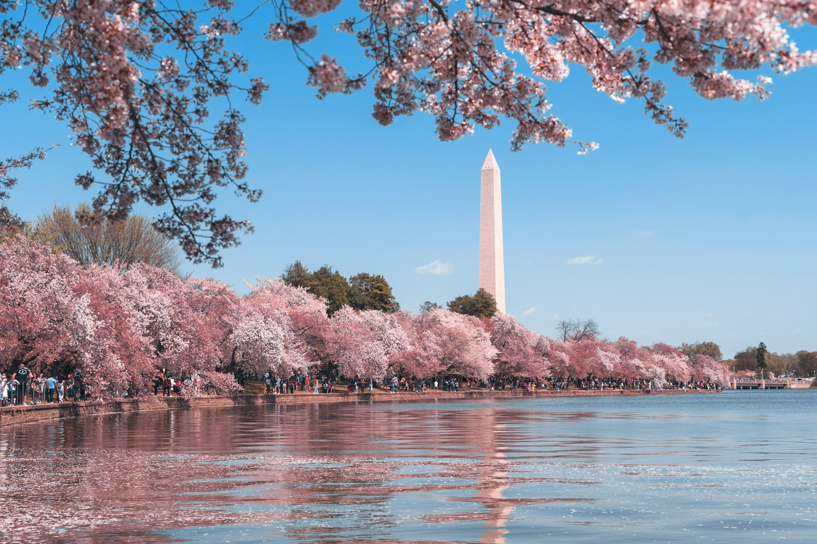 US adjustment of status 2026 green card consular processing for African applicants