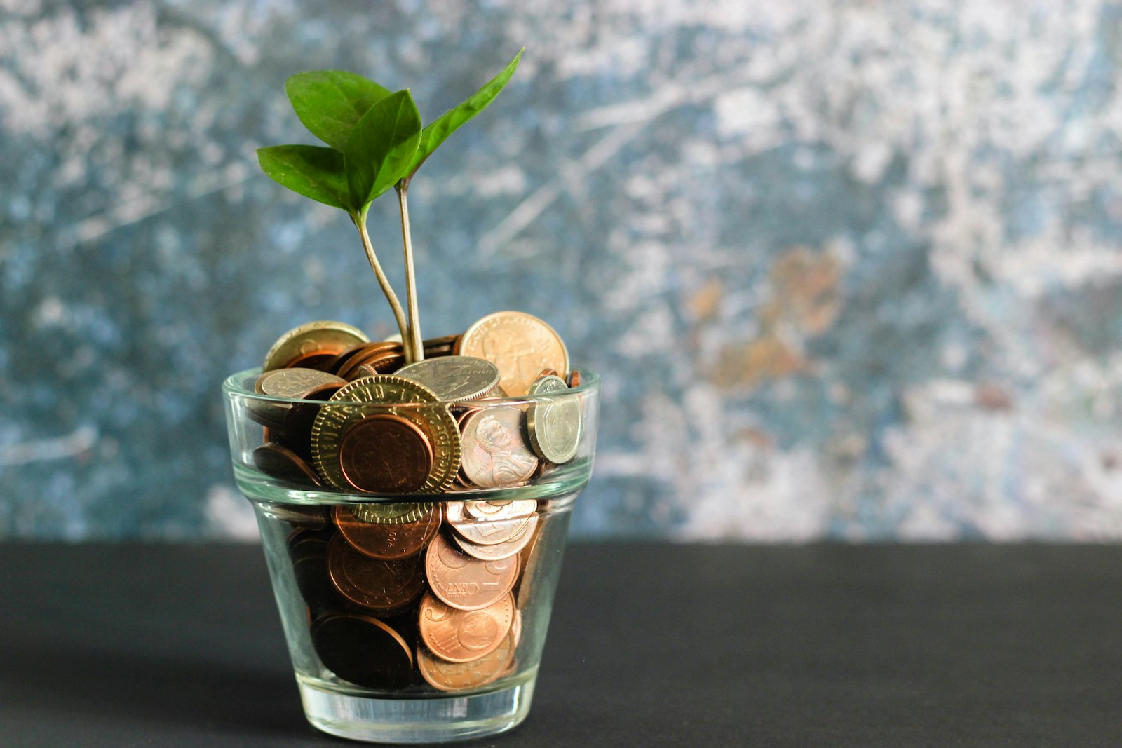 Visa proof of funds — savings and bank statement planning