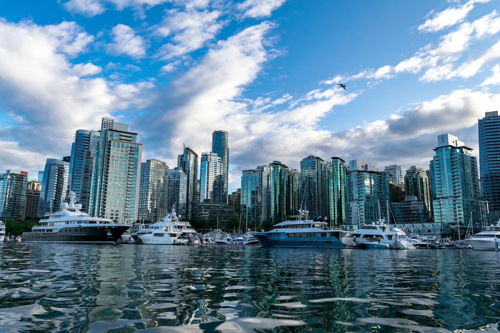 Express Entry pool CRS score distribution for Canada in 2026